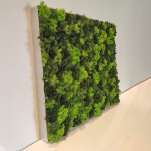 Moosbild - Alurahmen Eckig - Elements Erde - 80 x 60 cm