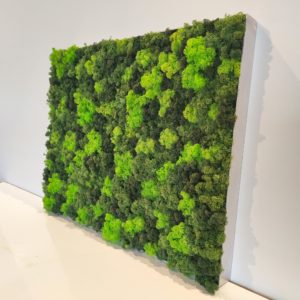 Moosbild - Alurahmen Eckig - Elements Erde - 80 x 60 cm