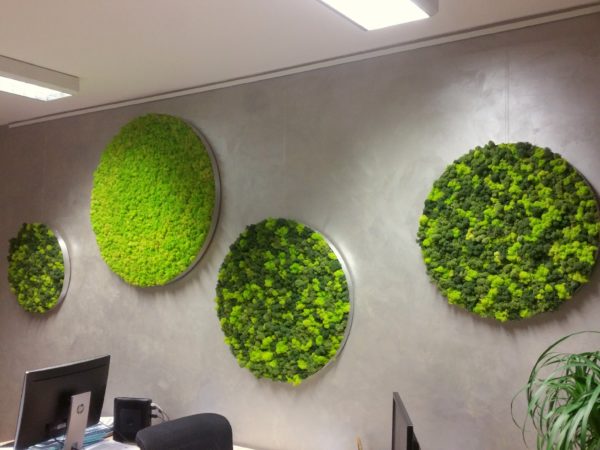 Moosbilder - Elements Erde - Büro