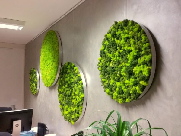 Moosbilder - Elements Erde - Büro