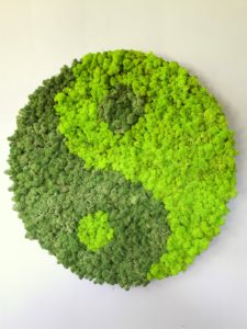 Moosbild Islandmoos - Yin Yang