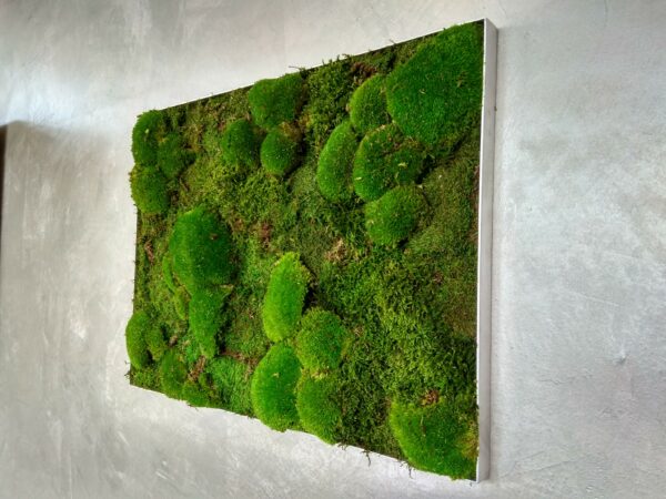 Moosbild - Alurahmen Eckig - Wald und Bollenmoos Grün