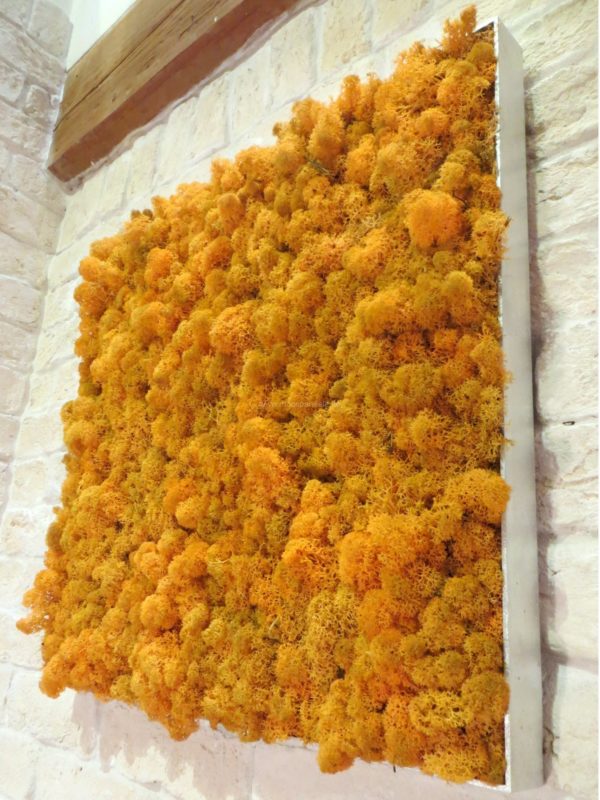 Moosbilder - Alurahmen Eckig - Islandmoos Orange