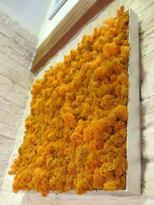 Moosbilder - Alurahmen Eckig - Islandmoos Orange
