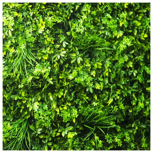 Kunstpflanzen-Paneele Schefflera - Details