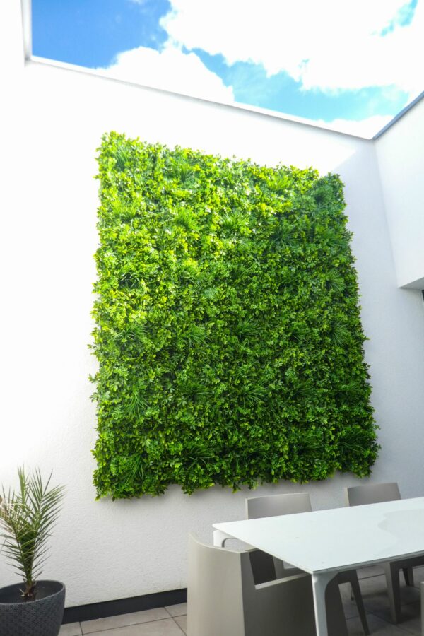 Kunstpflanzen Wand Schefflera im Wintergarten