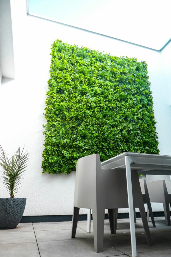 Kunstpflanzen Wand Schefflera im Wintergarten