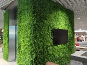 Kunstpflanzwand Juniperus - Farn-Hecke - Aufzug Einrichtungshaus