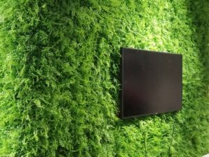 Kunstpflanzwand Juniperus - Farn-Hecke - Aufzug Einrichtungshaus
