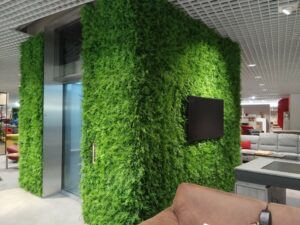 Kunstpflanzwand Juniperus - Farn-Hecke - Aufzug Einrichtungshaus