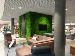 Kunstpflanzwand Juniperus - Farn-Hecke - Aufzug Einrichtungshaus