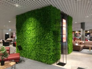 Kunstpflanzwand Juniperus - Farn-Hecke - Aufzug Einrichtungshaus