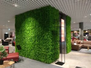 Kunstpflanzwand Juniperus - Farn-Hecke - Aufzug Einrichtungshaus