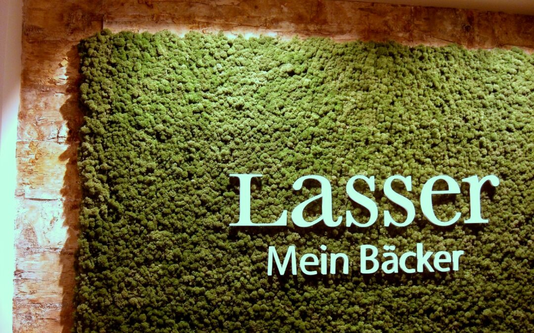 Islandmoos als Wandgestaltung in der Bäckerei