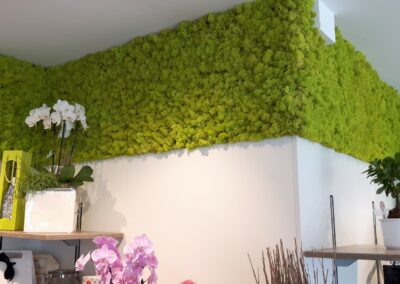 Mooswand - Islandmoos Frühlingsgrün - Bekleidungsgeschäft