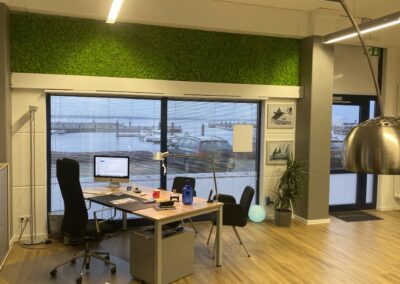 Mooswand - Islandmoos Frühlingsgrün - Office