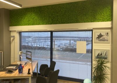 Mooswand - Islandmoos Frühlingsgrün - Office