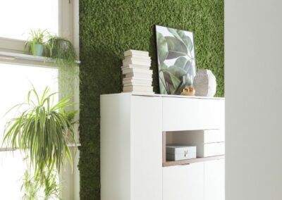 Mooswand Wohnzimmer - Islandmoos Waldgrün