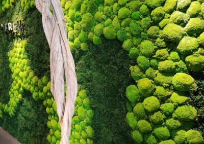 Mooswand - Ladenbaueinrichtung Sanitärstudio - Wald und Polstermoos