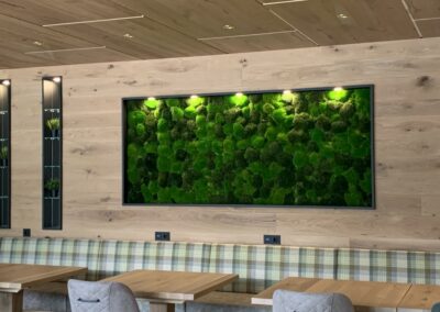 Wandbegrünung - Polstermoos Mix - Hotel