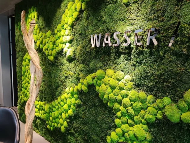 Ansprechpartner - Franzen - Moos Wanddesign